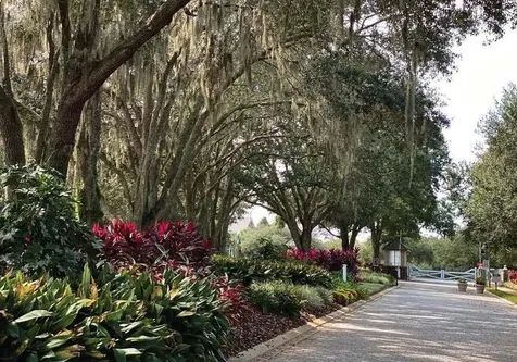 30101 Bretton Loop Mount Dora FL 32757