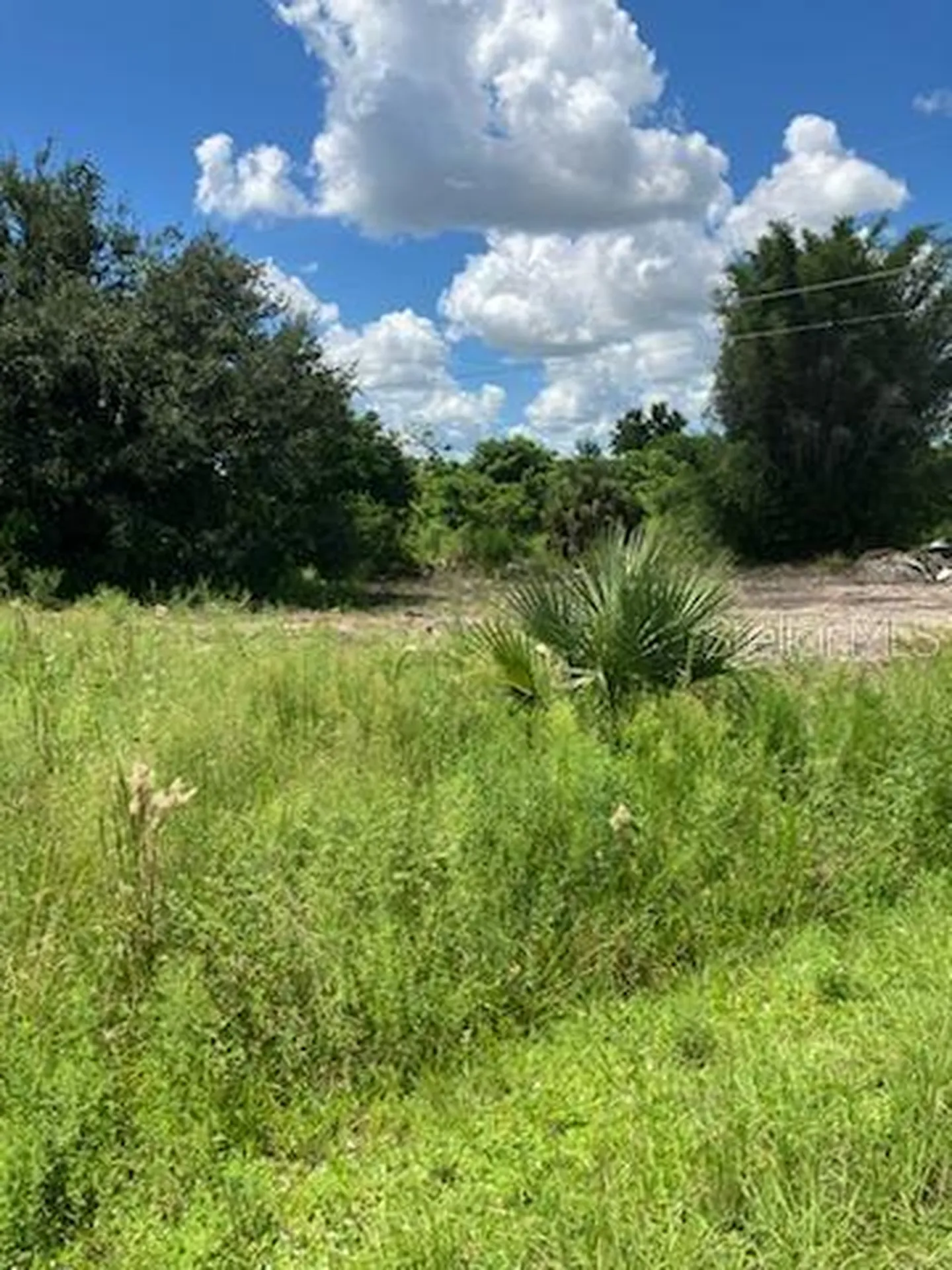 2011 Calle Bonito Punta Gorda FL 33982