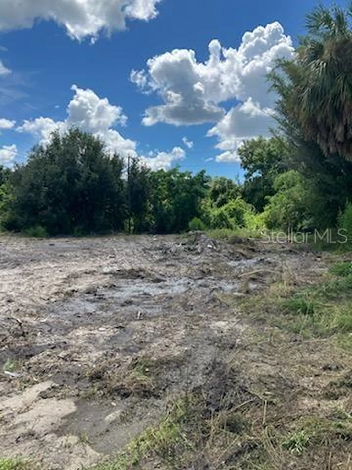 2011 Calle Bonito Punta Gorda FL 33982