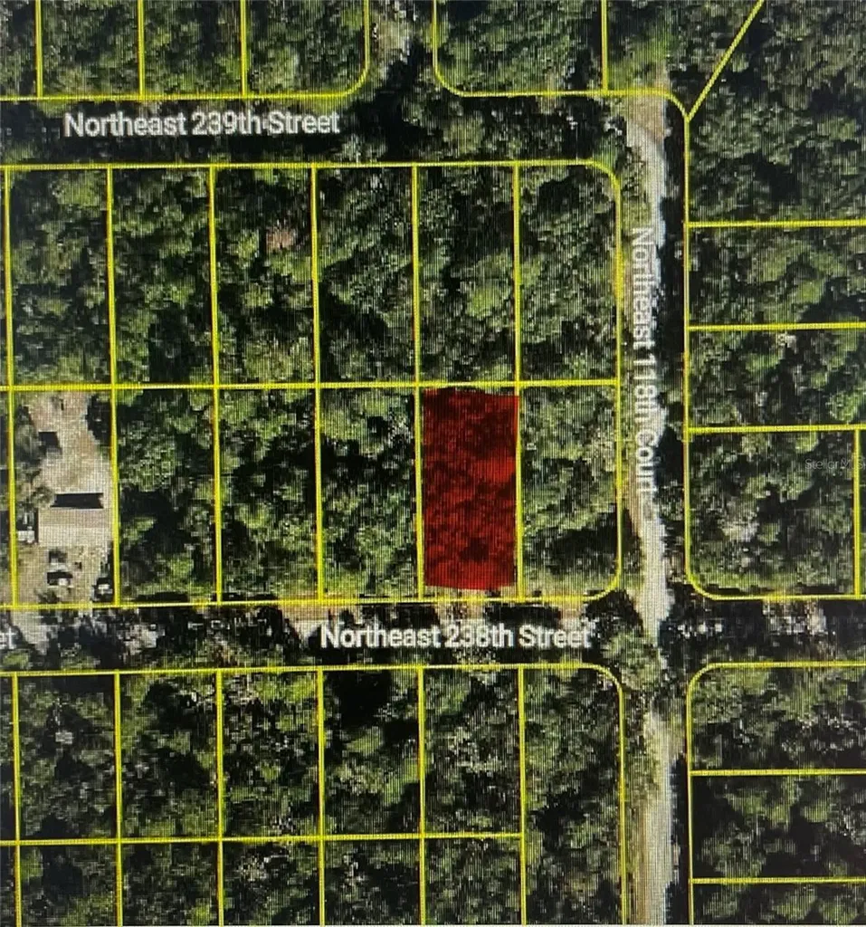 Tbd NE 238th Street Fort Mc Coy FL 32134