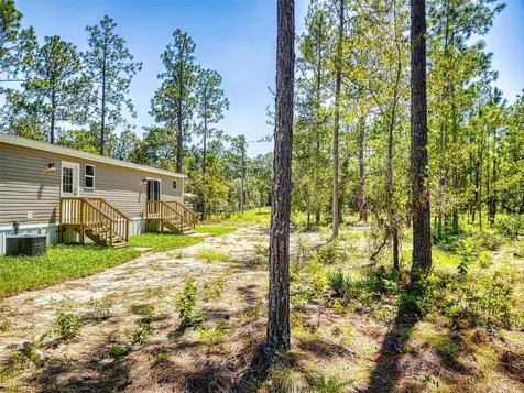 660 NE 131 Avenue Williston FL 32696