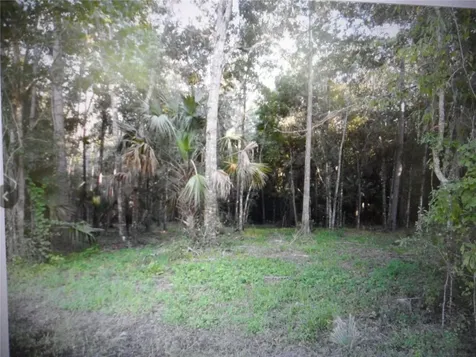 8330 & 8298 W Grover Cleveland Boulevard Homosassa FL 34446