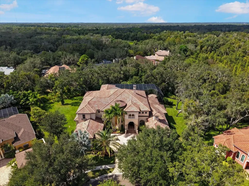 16220 Ternglade Drive Lithia FL 33547