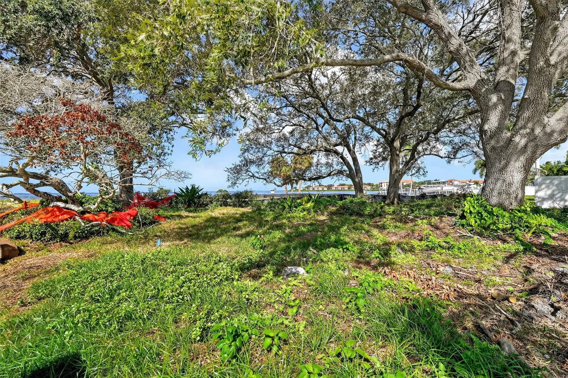 508 Driftwood Circle Palm Harbor FL 34683