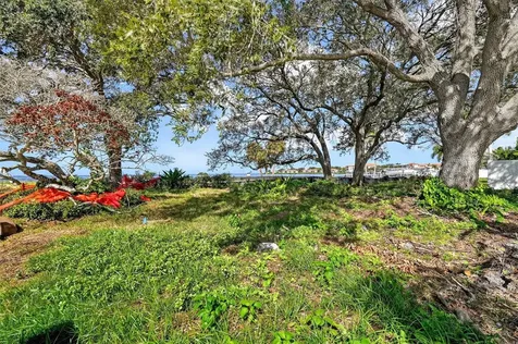508 Driftwood Circle Palm Harbor FL 34683