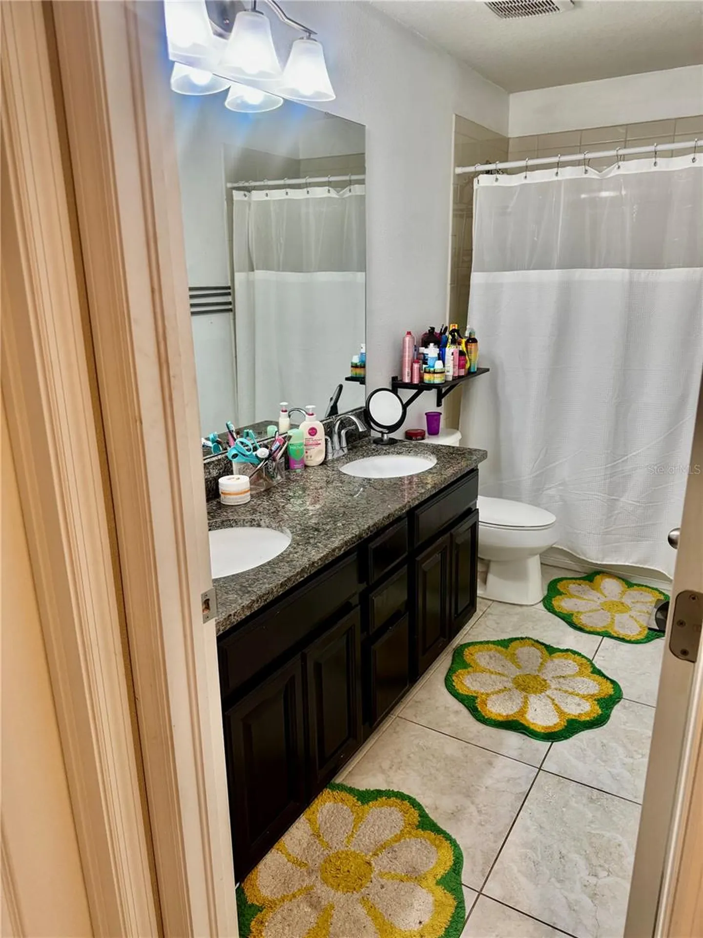 11344 Emerald Shore Drive Riverview FL 33579