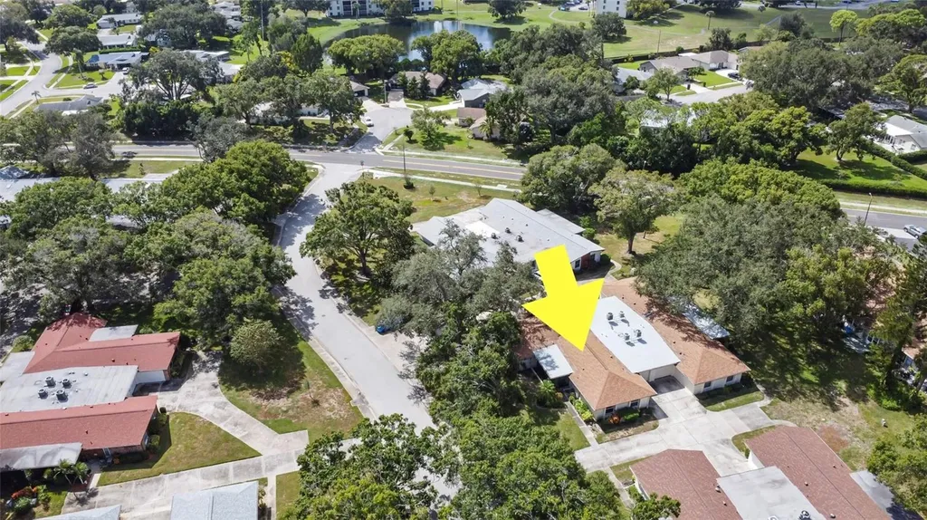 2150 Shelly Drive Palm Harbor FL 34684