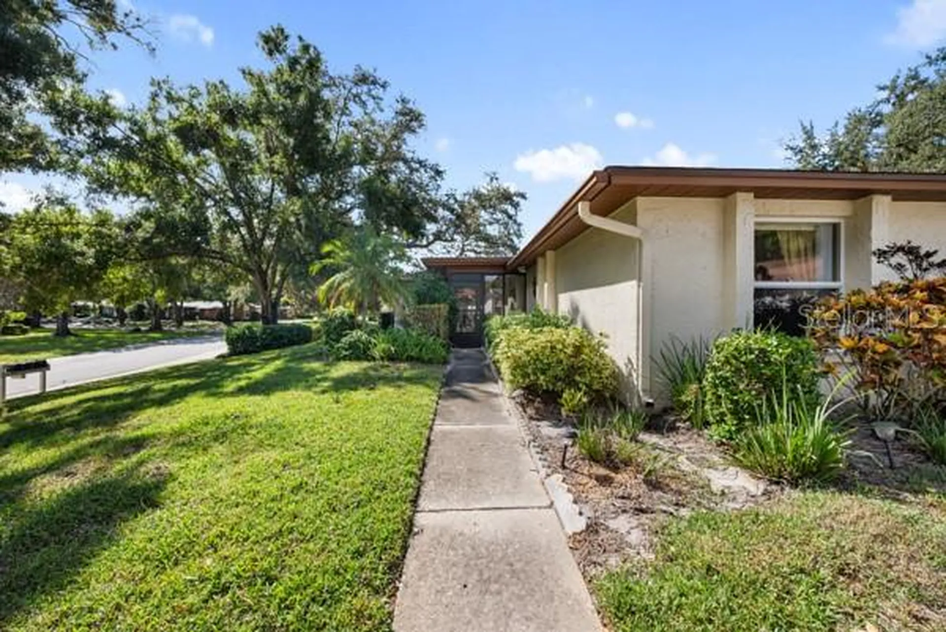 2150 Shelly Drive Palm Harbor FL 34684
