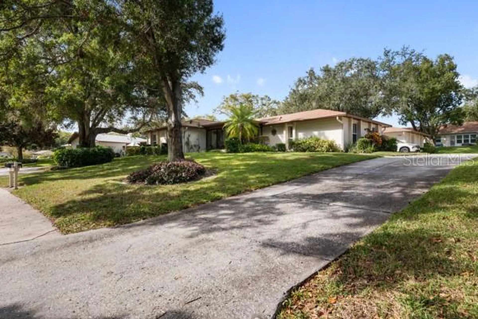 2150 Shelly Drive Palm Harbor FL 34684