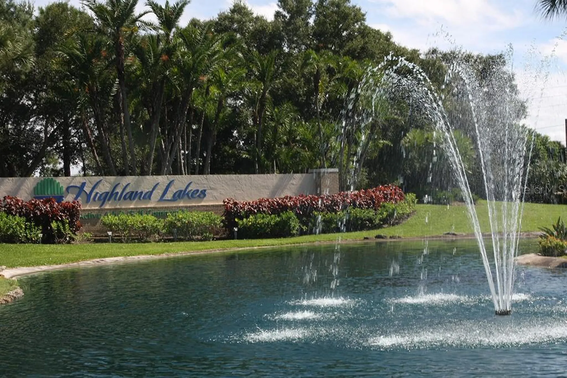 2150 Shelly Drive Palm Harbor FL 34684