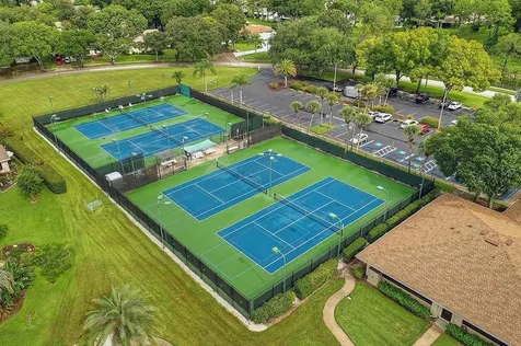 2150 Shelly Drive Palm Harbor FL 34684
