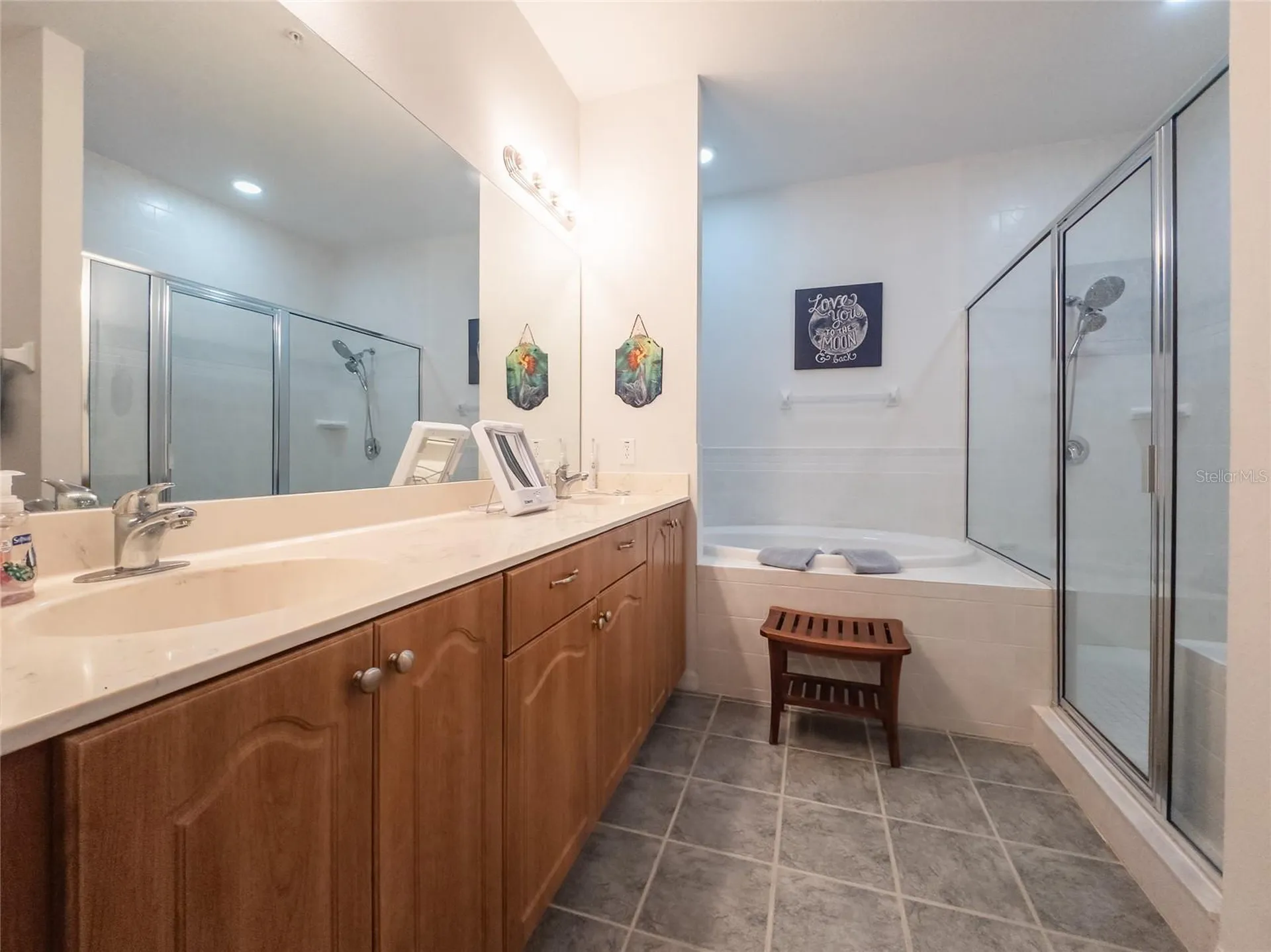 21008 Sunpoint Way Lutz FL 33558