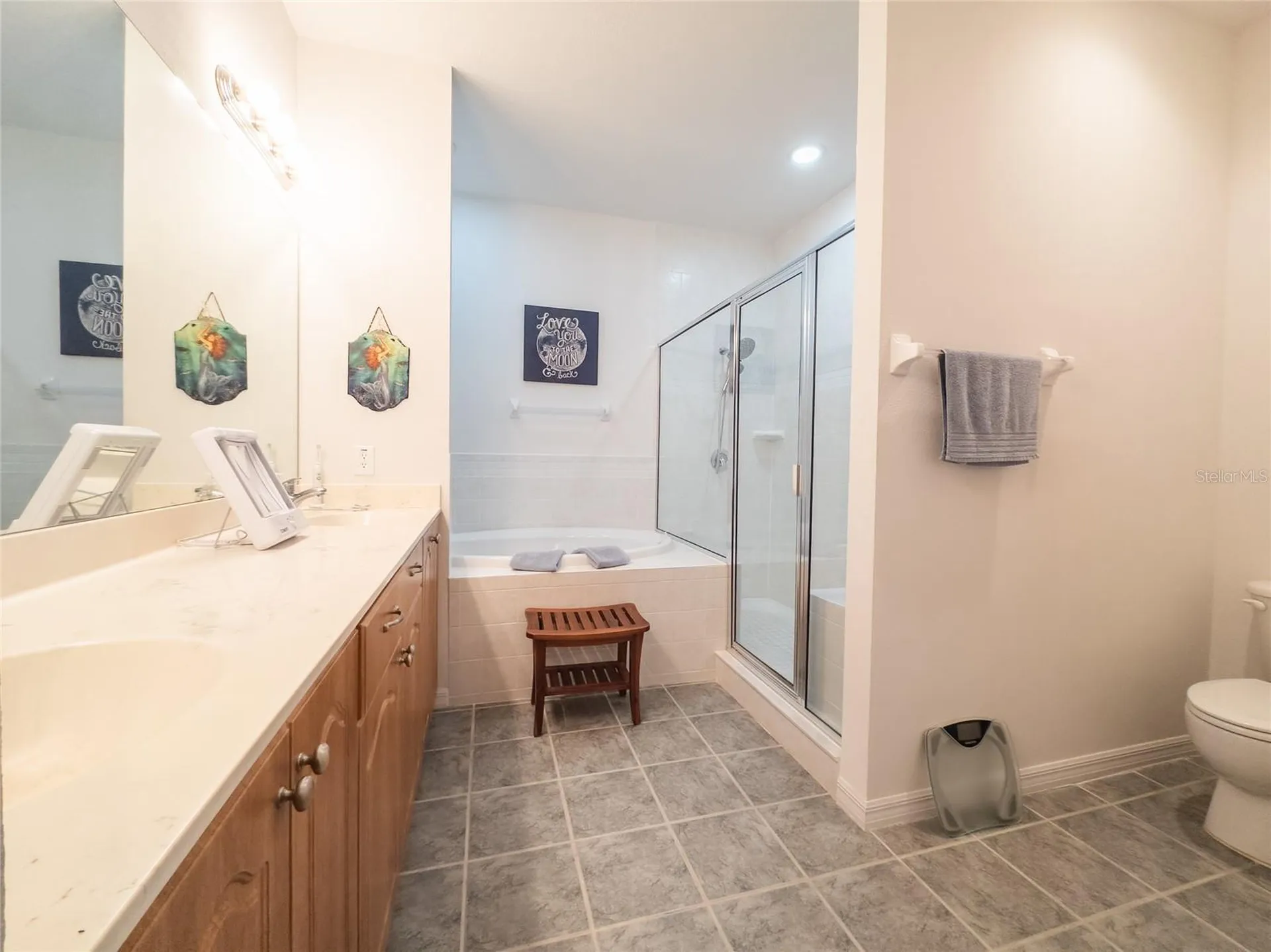 21008 Sunpoint Way Lutz FL 33558