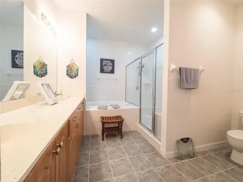 21008 Sunpoint Way Lutz FL 33558