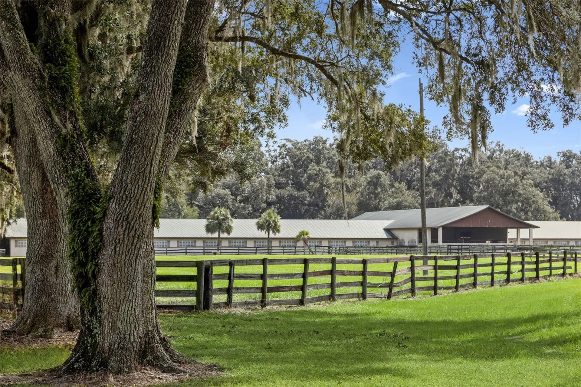 551 NE 200 Avenue Williston FL 32696