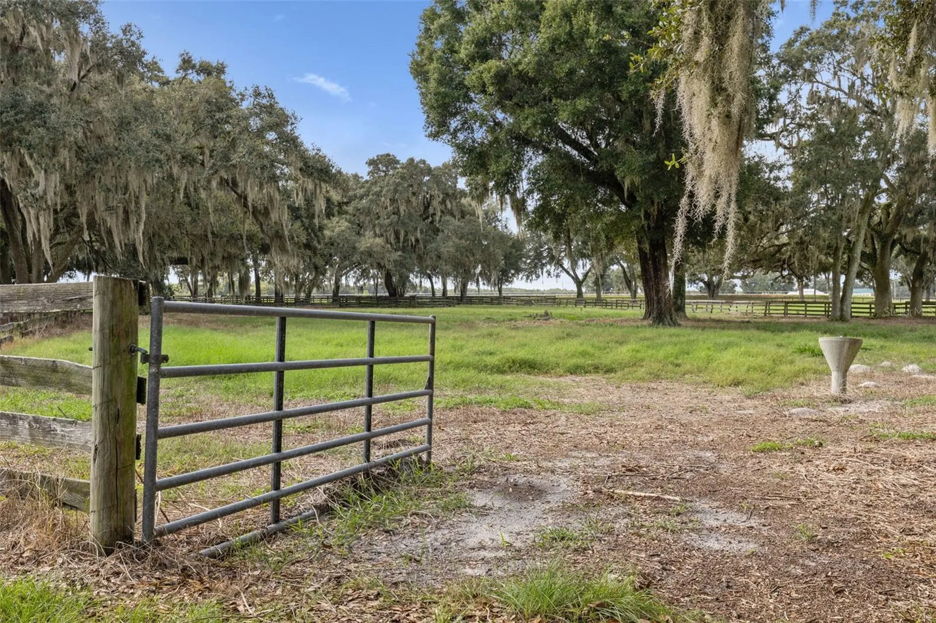 551 NE 200 Avenue Williston FL 32696