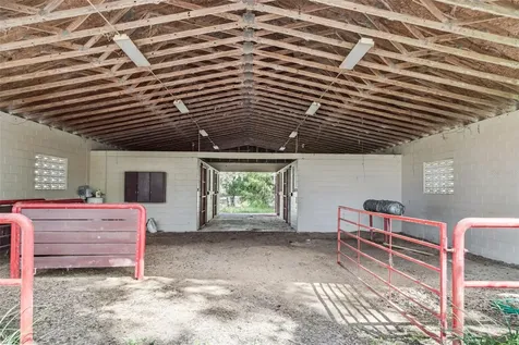 551 NE 200 Avenue Williston FL 32696