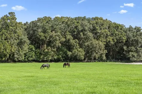 551 NE 200 Avenue Williston FL 32696