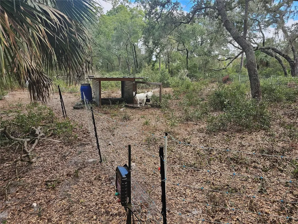 45070 Wild Acres Trail Paisley FL 32767