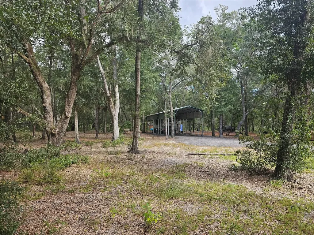 45070 Wild Acres Trail Paisley FL 32767