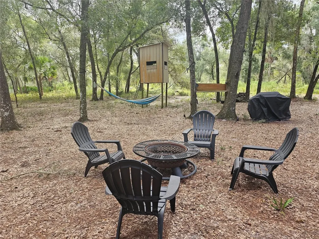 45070 Wild Acres Trail Paisley FL 32767