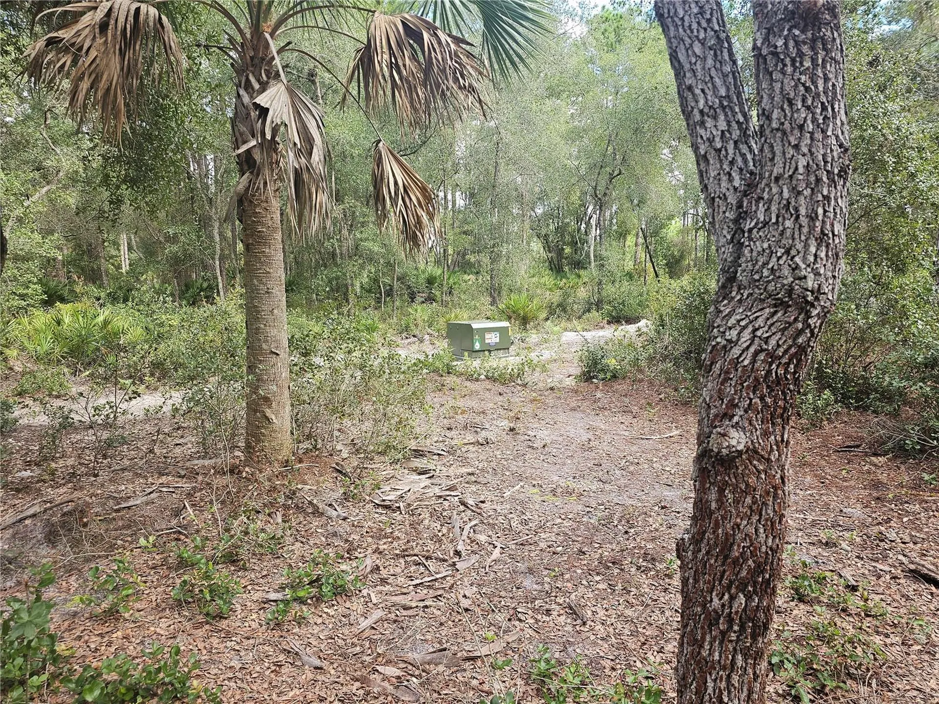 45070 Wild Acres Trail Paisley FL 32767