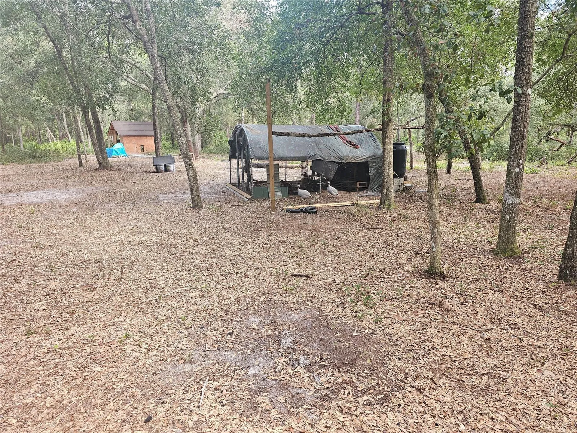 45070 Wild Acres Trail Paisley FL 32767