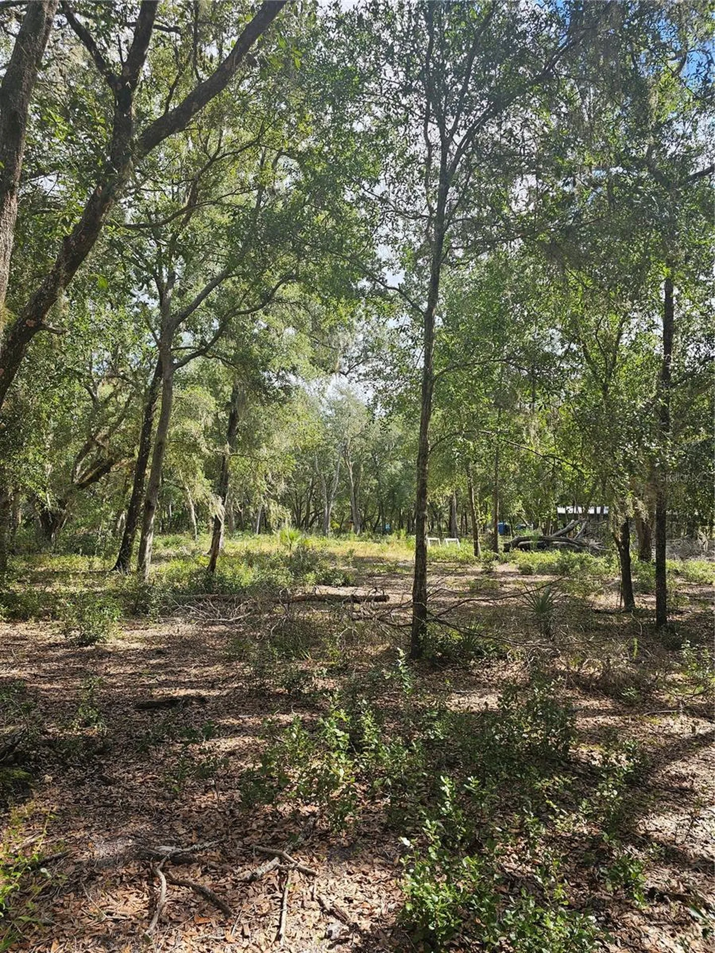 45070 Wild Acres Trail Paisley FL 32767