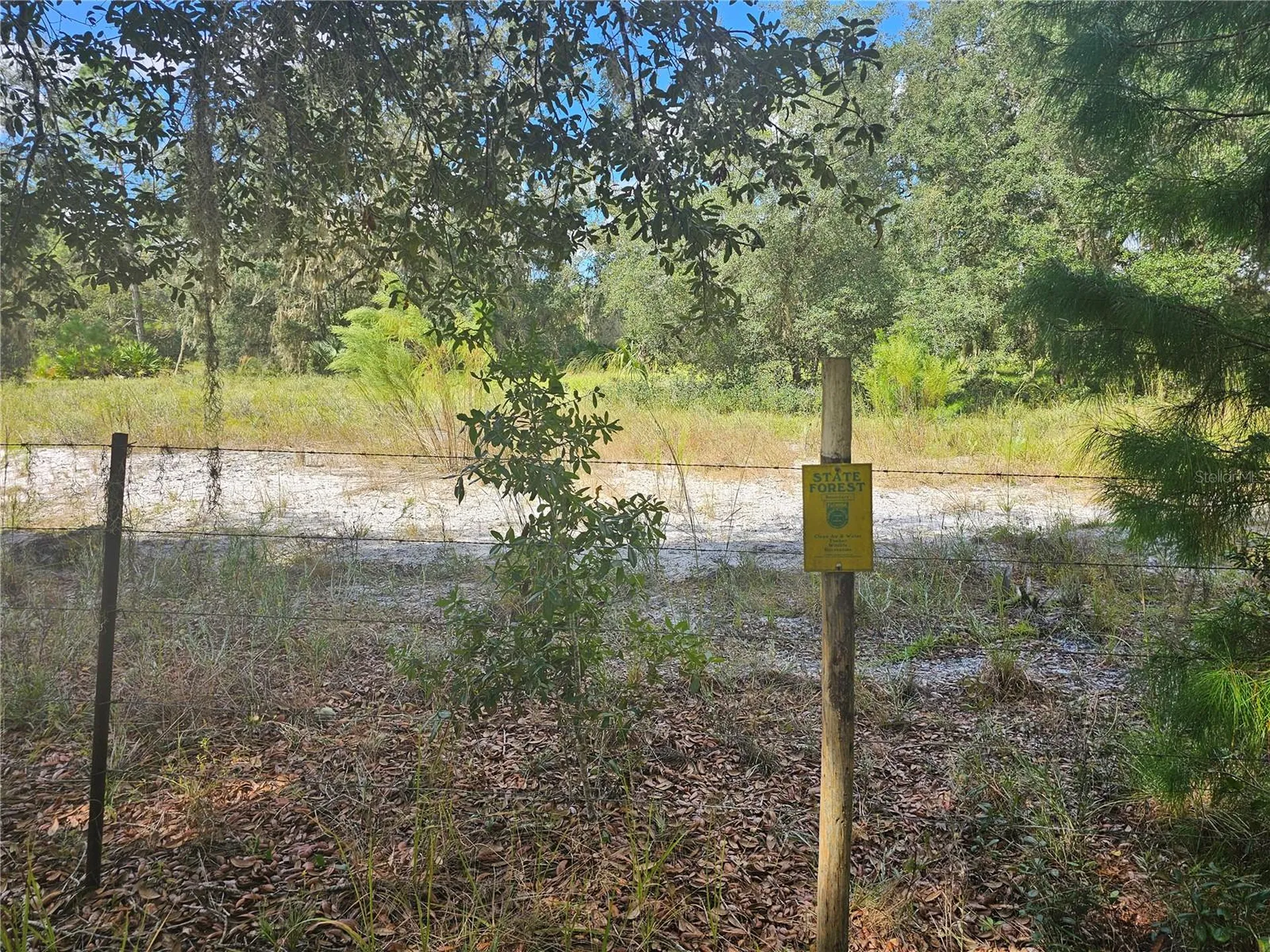 45070 Wild Acres Trail Paisley FL 32767