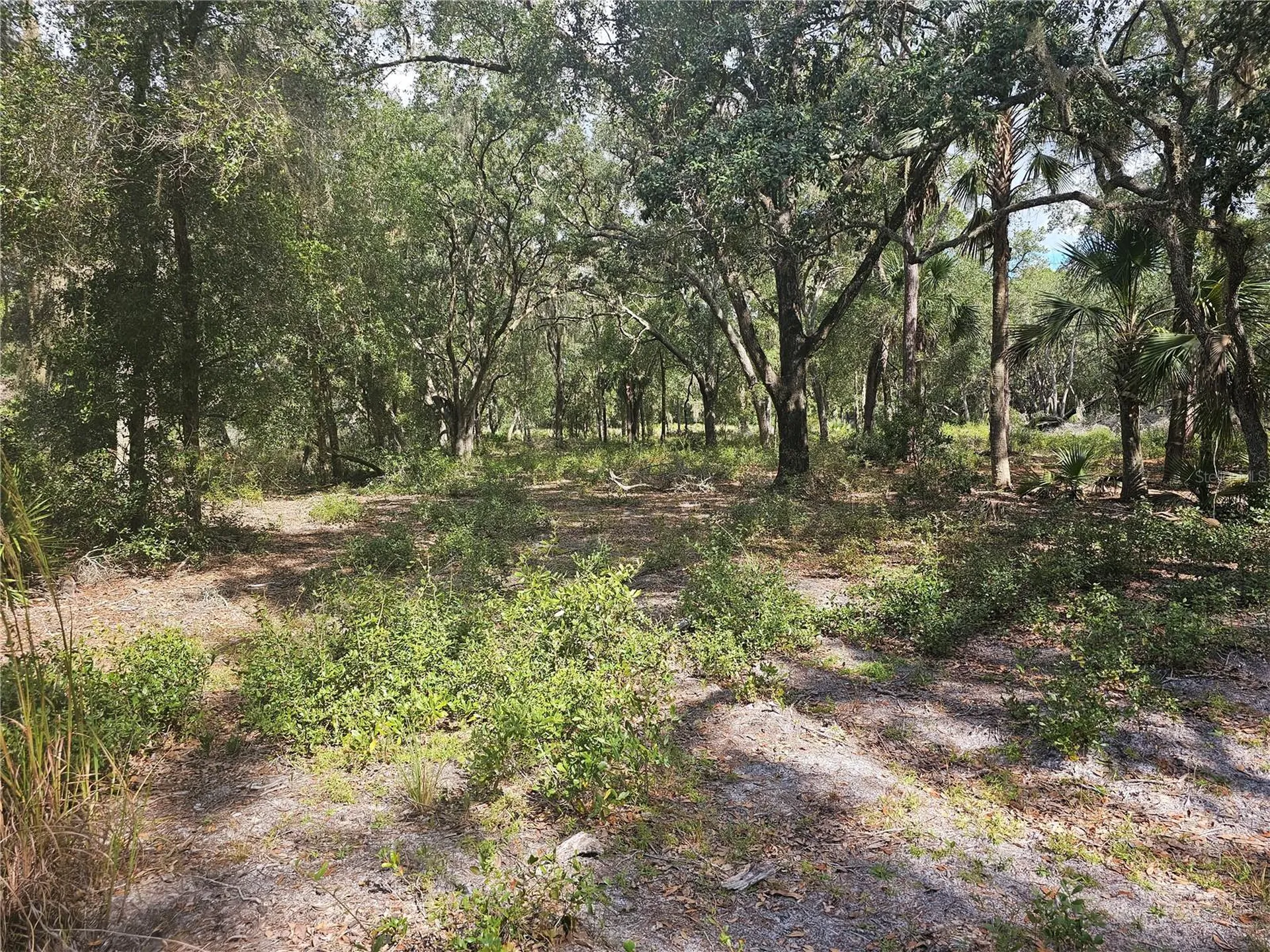 45070 Wild Acres Trail Paisley FL 32767