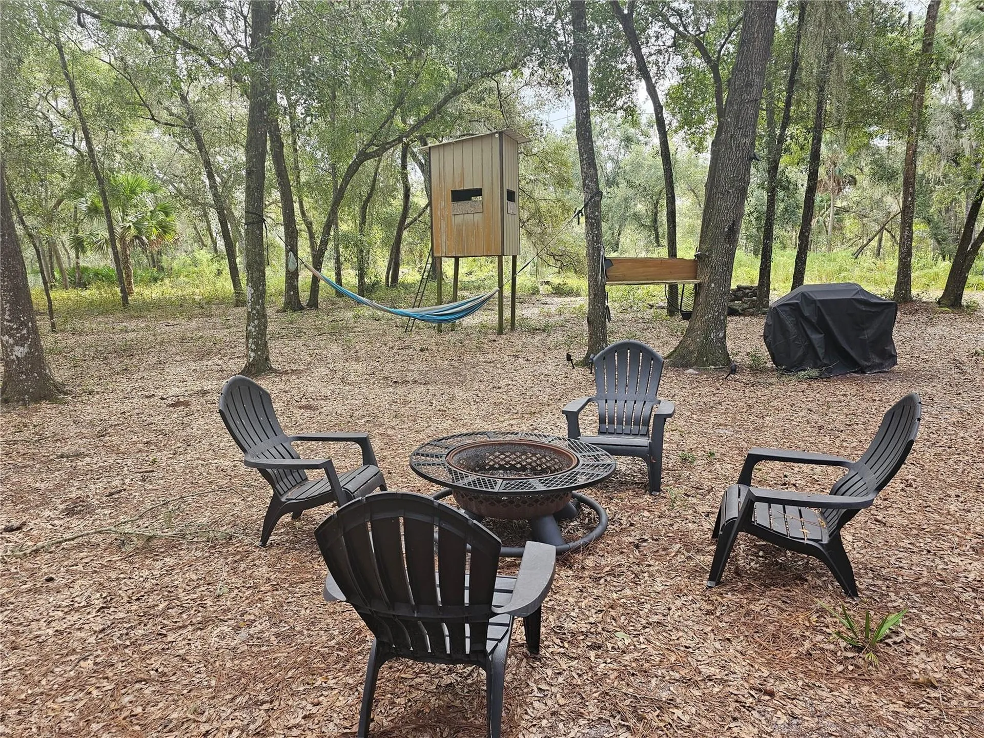 45070 Wild Acres Trail Paisley FL 32767