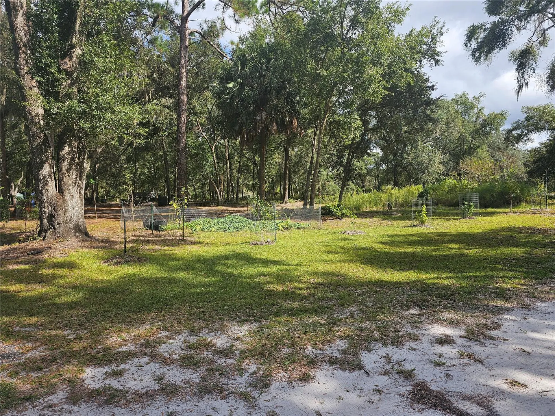 45070 Wild Acres Trail Paisley FL 32767