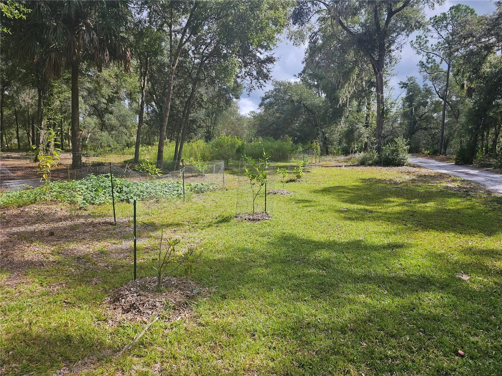 45070 Wild Acres Trail Paisley FL 32767
