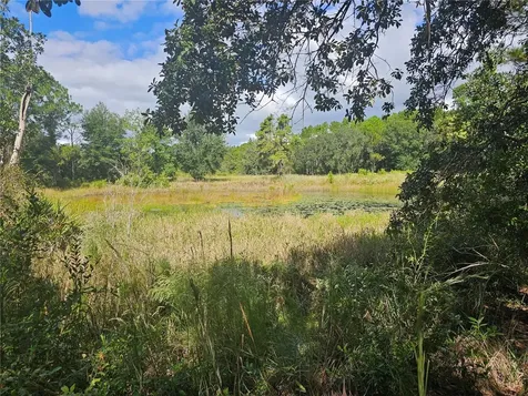 45070 Wild Acres Trail Paisley FL 32767