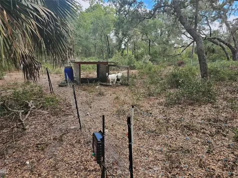 45070 Wild Acres Trail Paisley FL 32767