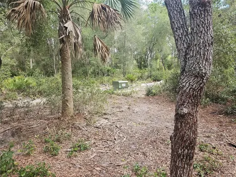 45070 Wild Acres Trail Paisley FL 32767