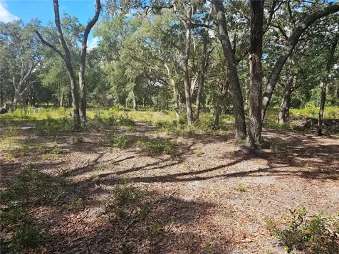 45070 Wild Acres Trail Paisley FL 32767