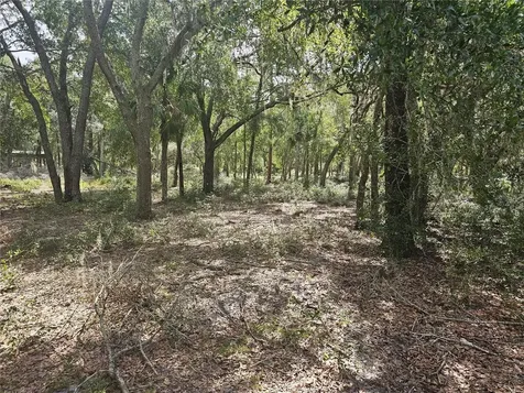 45070 Wild Acres Trail Paisley FL 32767