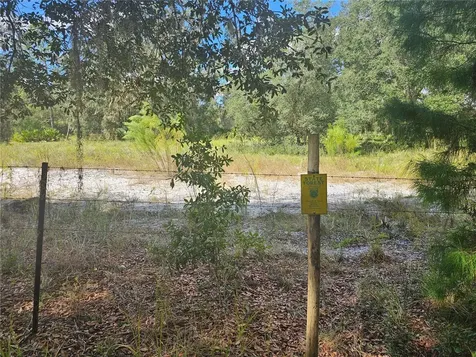 45070 Wild Acres Trail Paisley FL 32767