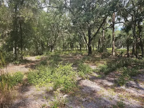 45070 Wild Acres Trail Paisley FL 32767
