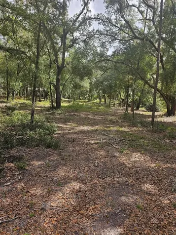 45070 Wild Acres Trail Paisley FL 32767