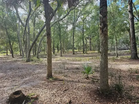 45070 Wild Acres Trail Paisley FL 32767