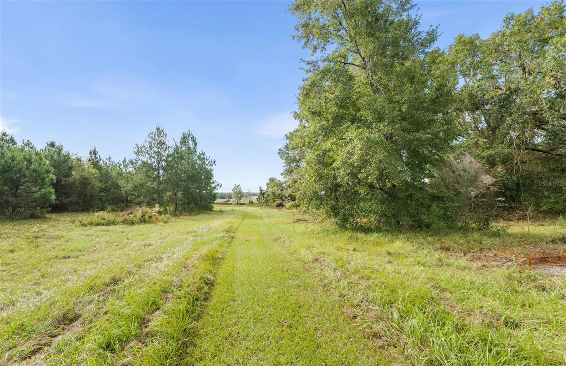 0001 SW Cr 240 Lake City FL 32024