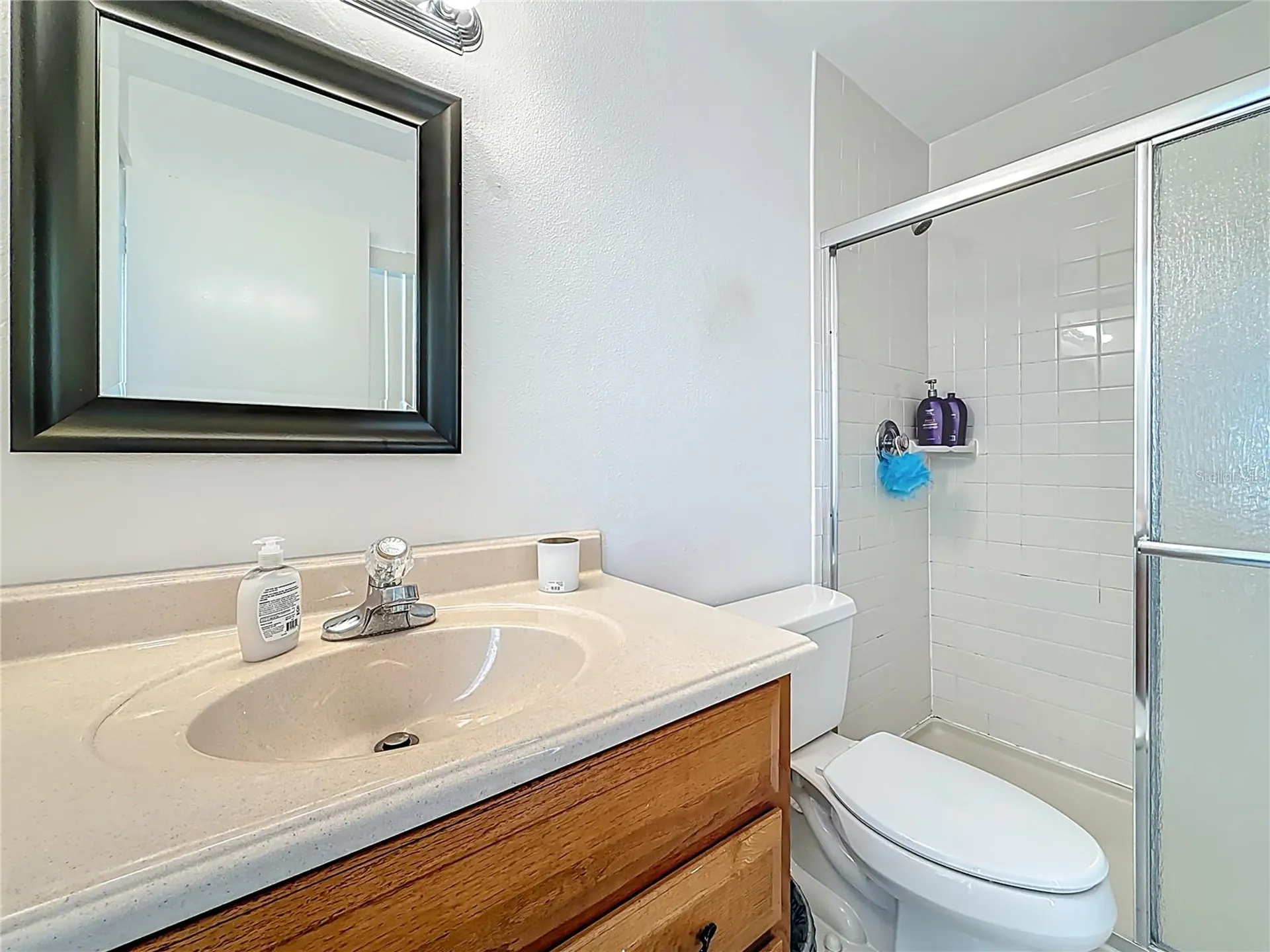 1909 Castle Bay Court Oldsmar FL 34677