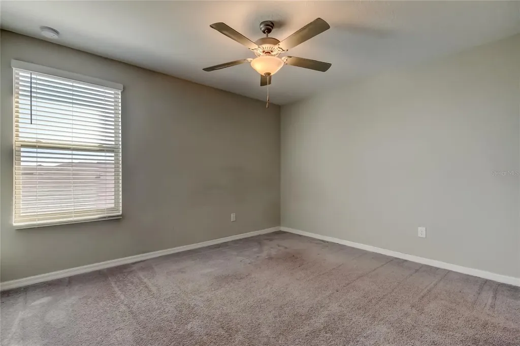 6362 Spider Lily Way New Port Richey FL 34653