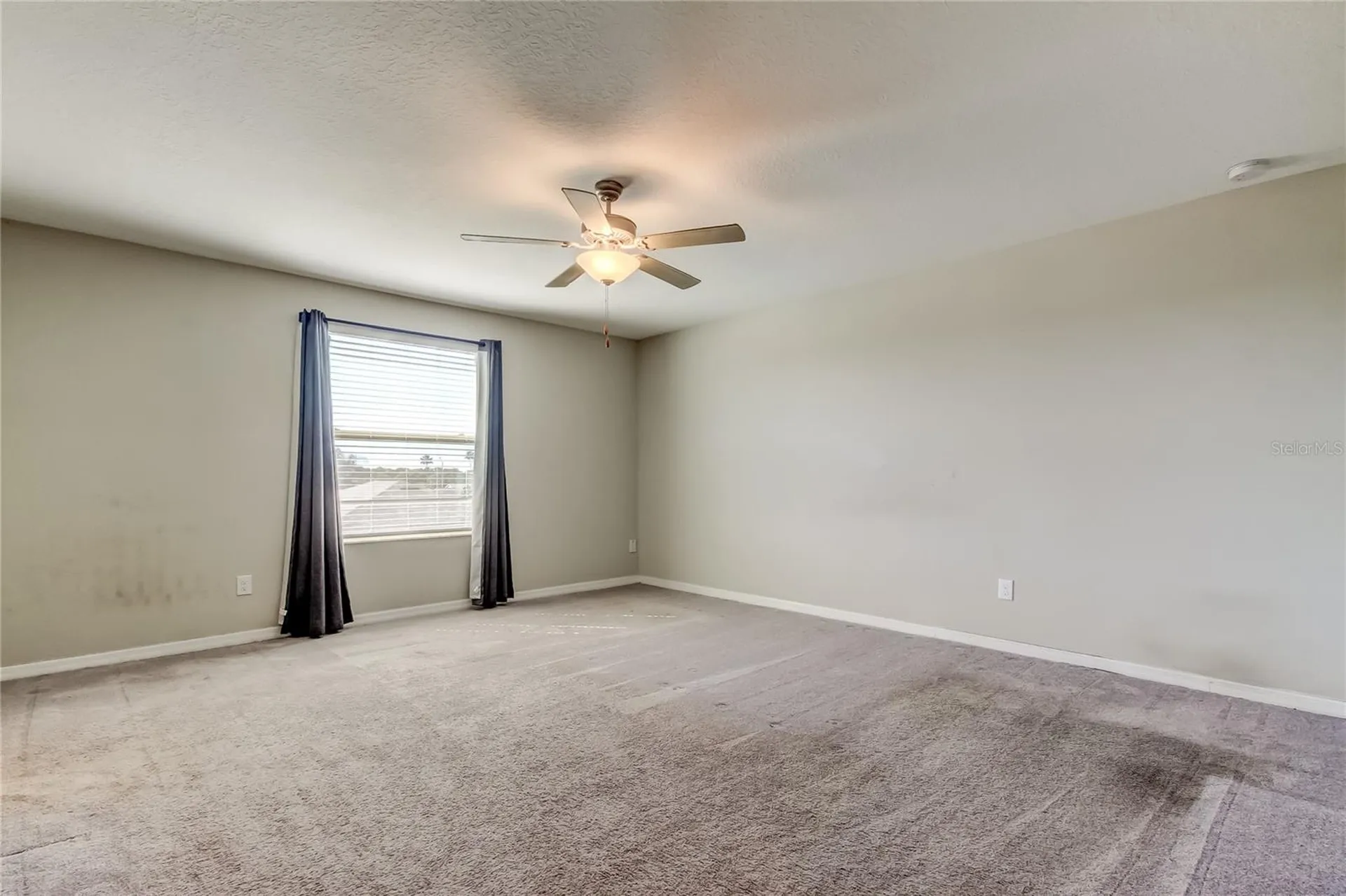 6362 Spider Lily Way New Port Richey FL 34653