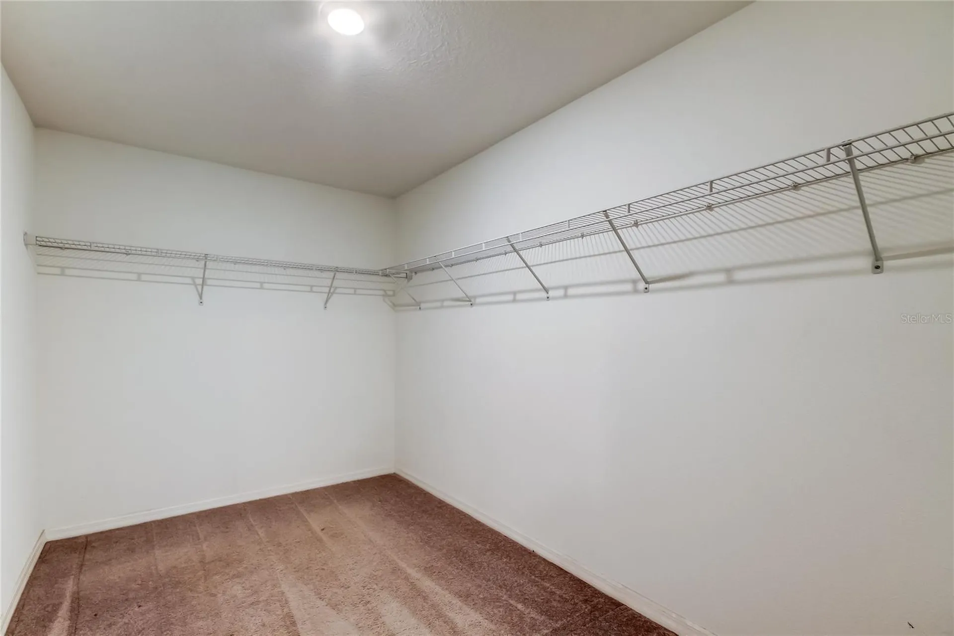 6362 Spider Lily Way New Port Richey FL 34653