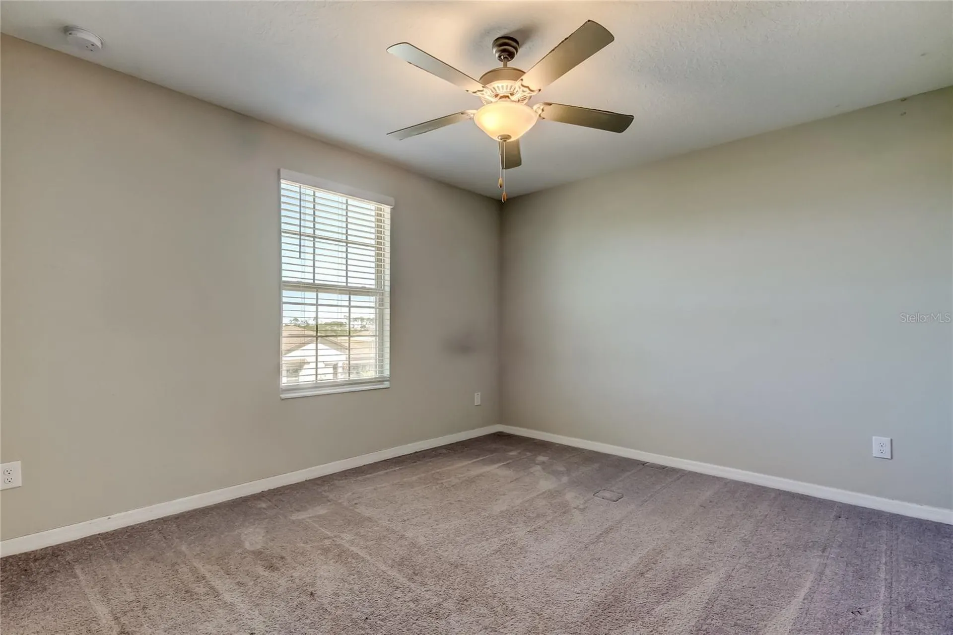 6362 Spider Lily Way New Port Richey FL 34653