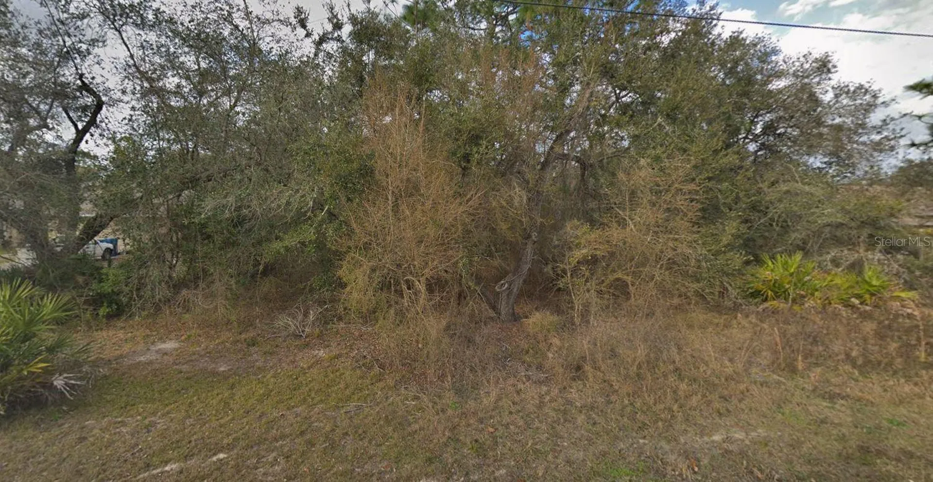 11405 Petrel Avenue Weeki Wachee FL 34614