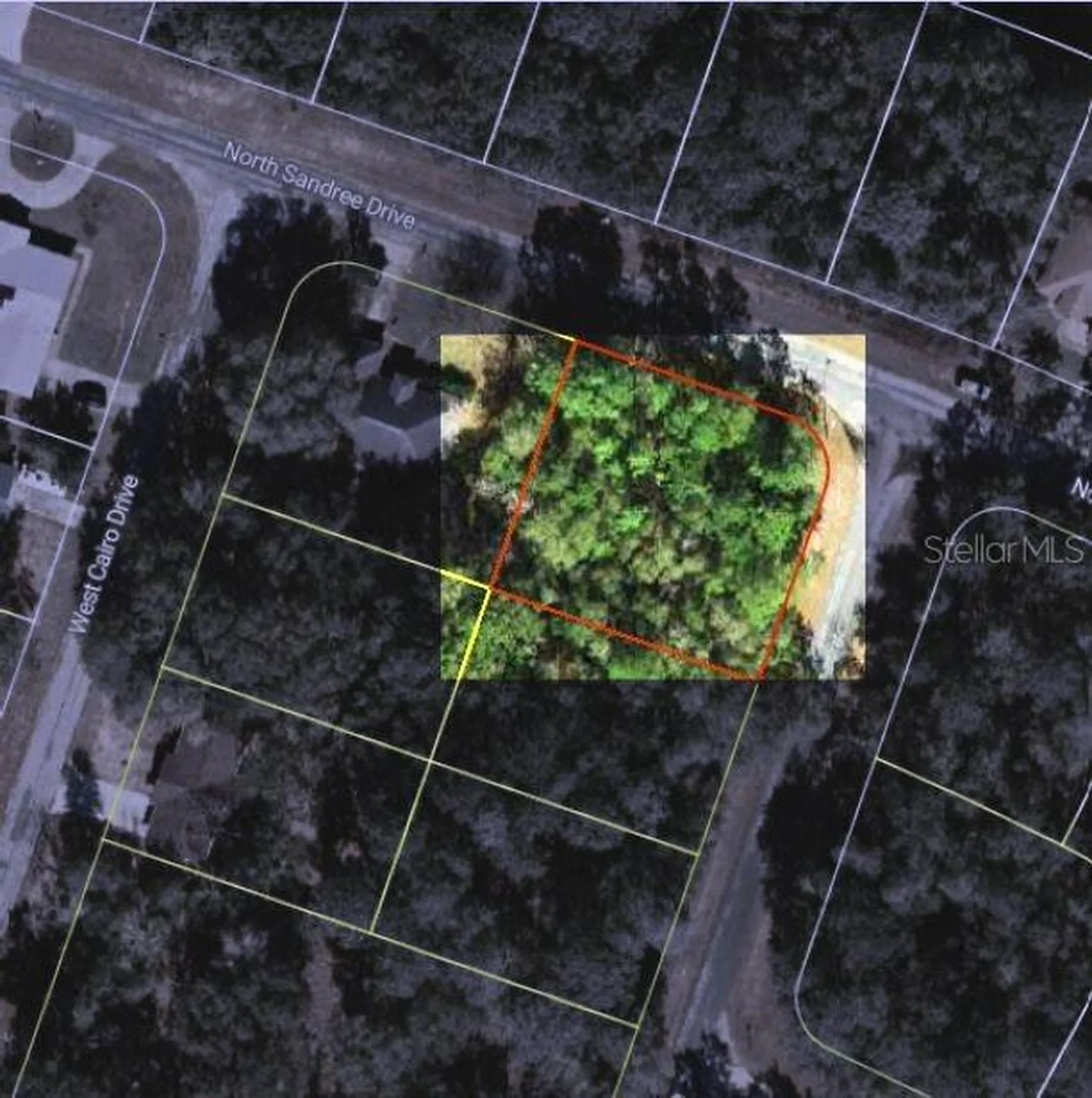 9858 N Jourden Drive Citrus Springs FL 34434